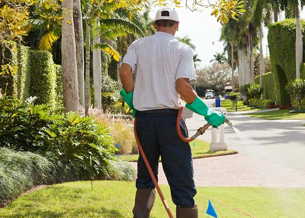 About Kemblesville PA Pest Control Pros
